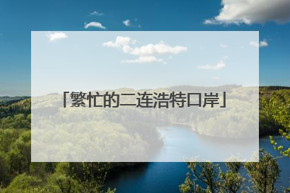 繁忙的二连浩特口岸