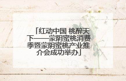红动中国 桃醉天下——蒙阴蜜桃消费季暨蒙阴蜜桃产业推介会成功举办