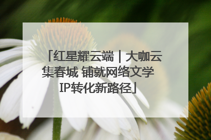 红星耀云端｜大咖云集春城 铺就网络文学IP转化新路径