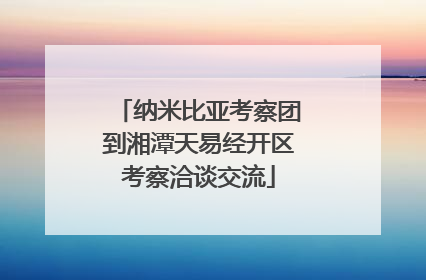 纳米比亚考察团到湘潭天易经开区考察洽谈交流