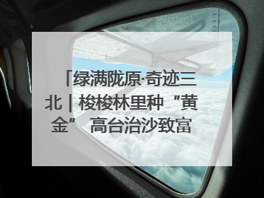 绿满陇原·奇迹三北｜梭梭林里种“黄金” 高台治沙致富很“从容”