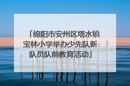 绵阳市安州区塔水镇宝林小学举办少先队新队员队前教育活动