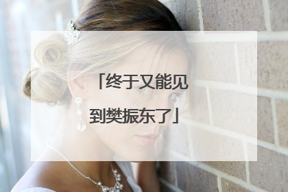 终于又能见到樊振东了