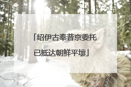 绍伊古奉普京委托已抵达朝鲜平壤