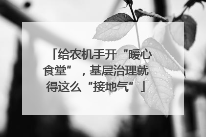 给农机手开“暖心食堂”，基层治理就得这么“接地气”