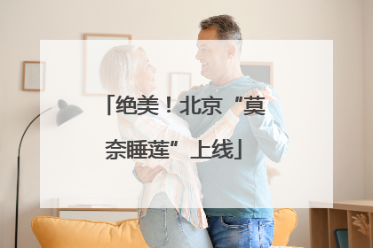 绝美！北京“莫奈睡莲”上线