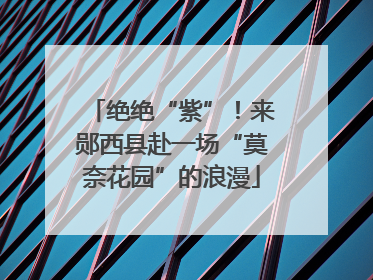 绝绝“紫”！来郧西县赴一场“莫奈花园”的浪漫
