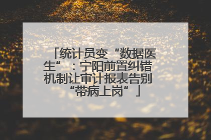 统计员变“数据医生”：宁阳前置纠错机制让审计报表告别“带病上岗”