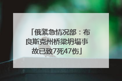 俄紧急情况部：布良斯克州桥梁坍塌事故已致7死47伤