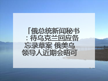 俄总统新闻秘书：待乌克兰回应备忘录草案 俄美乌领导人近期会晤可能性小