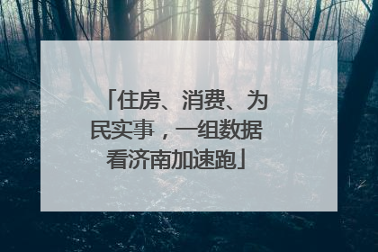 住房、消费、为民实事，一组数据看济南加速跑