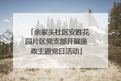 余家头社区安胜花园片区党支部开展廉政主题党日活动