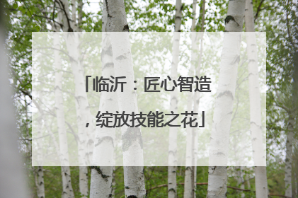 临沂：匠心智造，绽放技能之花