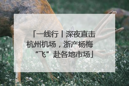 一线行丨深夜直击杭州机场，浙产杨梅“飞”赴各地市场