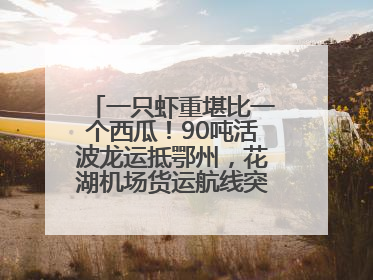 一只虾重堪比一个西瓜！90吨活波龙运抵鄂州，花湖机场货运航线突破100条