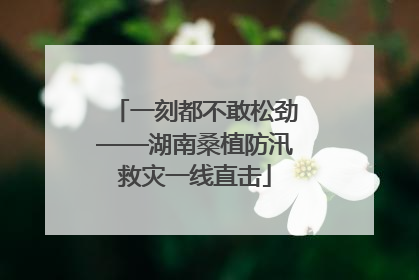 一刻都不敢松劲——湖南桑植防汛救灾一线直击