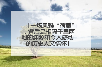一场风雅“荷展”，背后是相隔千里两地的渊源和令人感动的历史人文情怀