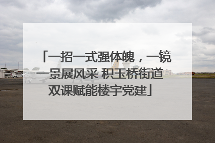 一招一式强体魄，一镜一景展风采 积玉桥街道双课赋能楼宇党建