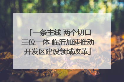 一条主线 两个切口 三位一体 临沂加速推动开发区建设领域改革