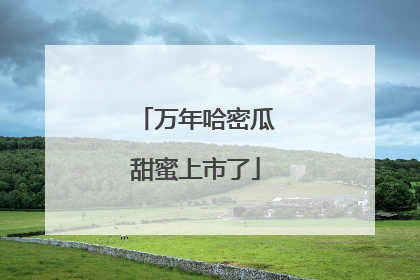 万年哈密瓜甜蜜上市了