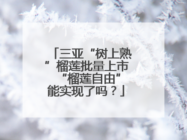 三亚“树上熟”榴莲批量上市 “榴莲自由”能实现了吗？