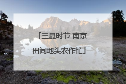 三夏时节 南京田间地头农作忙