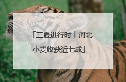 三夏进行时丨河北小麦收获近七成