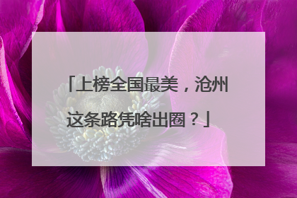 上榜全国最美，沧州这条路凭啥出圈？
