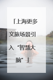 上海更多文旅场景引入“智慧大脑”