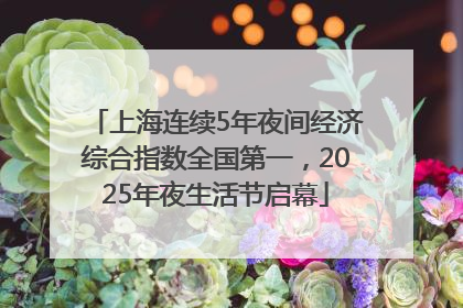上海连续5年夜间经济综合指数全国第一，2025年夜生活节启幕