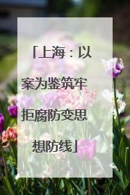 上海：以案为鉴筑牢拒腐防变思想防线
