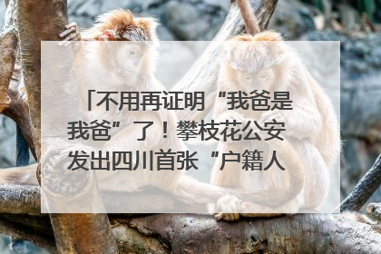 不用再证明“我爸是我爸”了！攀枝花公安发出四川首张“户籍人口直系亲属关系谱”