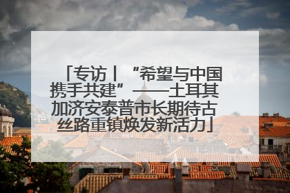 专访丨“希望与中国携手共建”——土耳其加济安泰普市长期待古丝路重镇焕发新活力