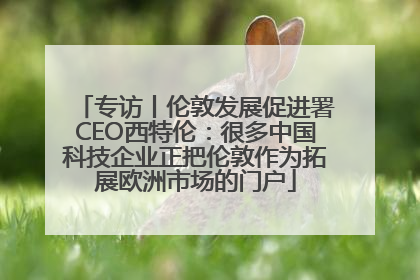 专访丨伦敦发展促进署CEO西特伦：很多中国科技企业正把伦敦作为拓展欧洲市场的门户