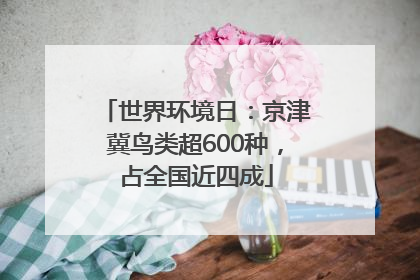 世界环境日：京津冀鸟类超600种，占全国近四成
