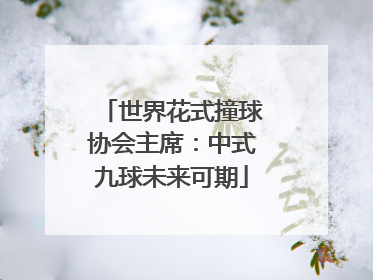世界花式撞球协会主席：中式九球未来可期