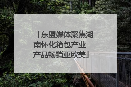 东盟媒体聚焦湖南怀化箱包产业 产品畅销亚欧美