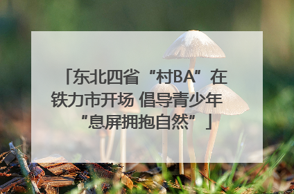 东北四省“村BA”在铁力市开场 倡导青少年“息屏拥抱自然”
