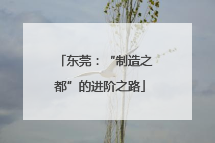 东莞：“制造之都”的进阶之路