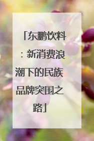 东鹏饮料：新消费浪潮下的民族品牌突围之路