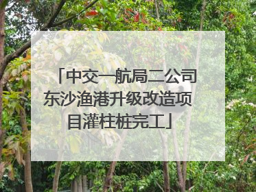 中交一航局二公司东沙渔港升级改造项目灌柱桩完工