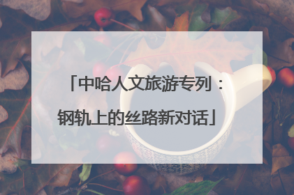 中哈人文旅游专列：钢轨上的丝路新对话