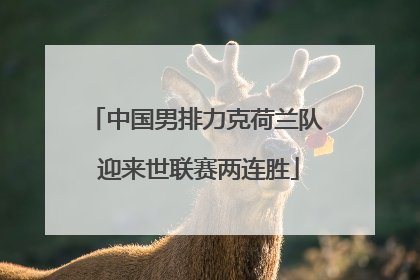 中国男排力克荷兰队 迎来世联赛两连胜