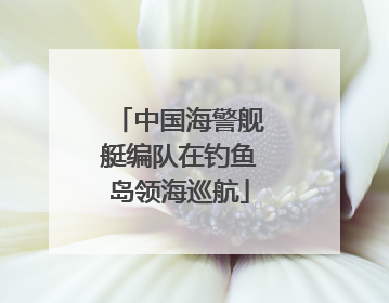 中国海警舰艇编队在钓鱼岛领海巡航