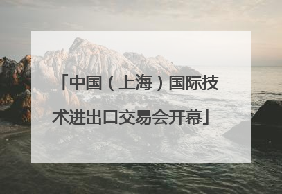 中国（上海）国际技术进出口交易会开幕