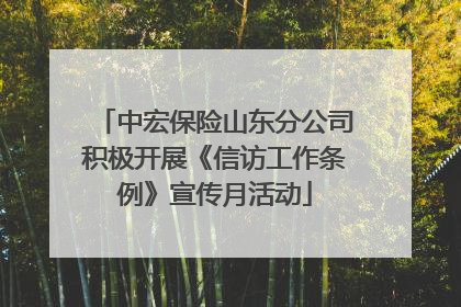 中宏保险山东分公司积极开展《信访工作条例》宣传月活动