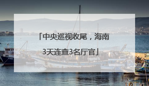 中央巡视收尾，海南3天连查3名厅官