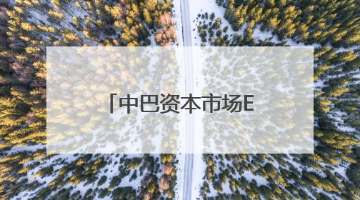中巴资本市场ETF互联互通落地 高水平制度型开放稳步推进