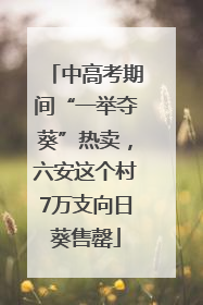 中高考期间“一举夺葵”热卖，六安这个村7万支向日葵售罄