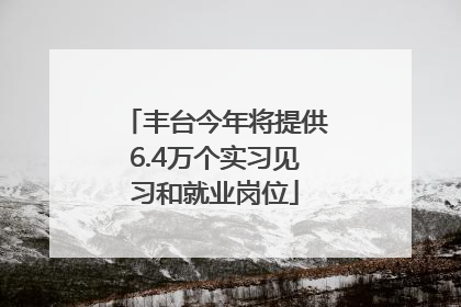 丰台今年将提供6.4万个实习见习和就业岗位
